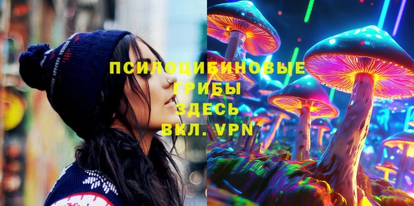 гидропоника Лагань