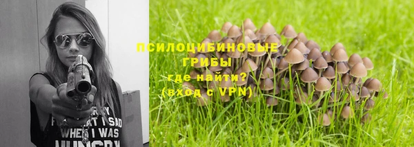 гидропоника Лагань