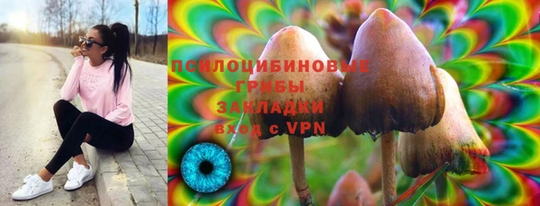 Альфа ПВП Ладушкин