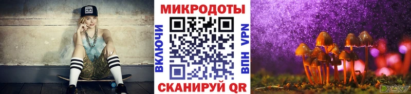 Купить где  Обоянь  Галлюциногенные грибы Psilocybe 